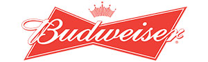 <img src='pic.jpg' alt='budweiser.' />