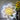 Sunflower Neon Sign - Aha Neon®