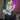 Planet Brain Neon Wall Art - Aha Neon®